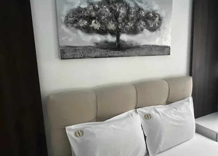 Numberone1 * 즐라티보